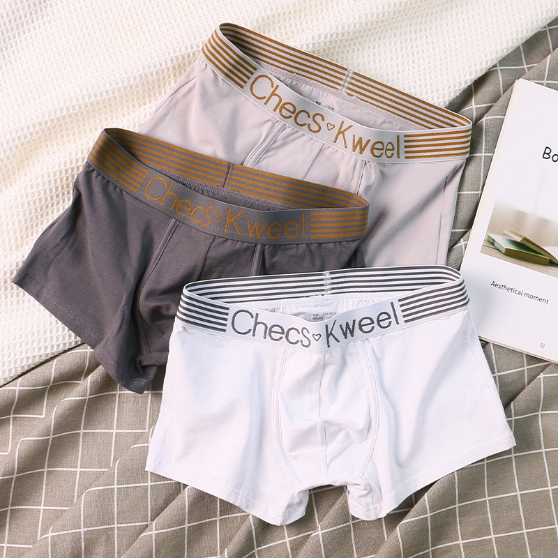 Premium Cotton Underwear & Socks Men's